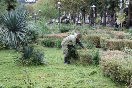 هرس و ترمیم فضای سبز بلوار مطهری
